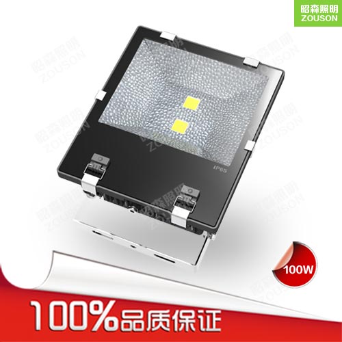 LED泛光燈100W(經(jīng)典款)_應(yīng)急防眩泛光燈