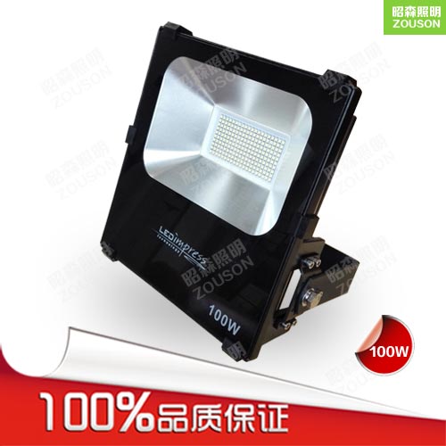 LED單色泛光燈100W